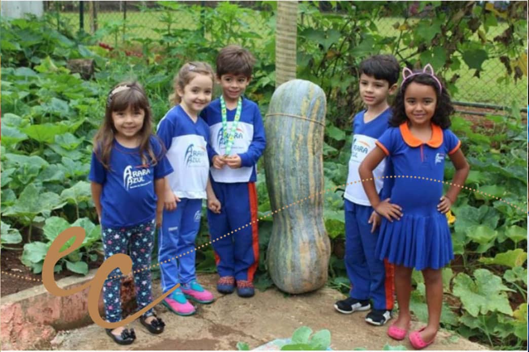 Alunos colhem abóbora na Escola Arara Azul