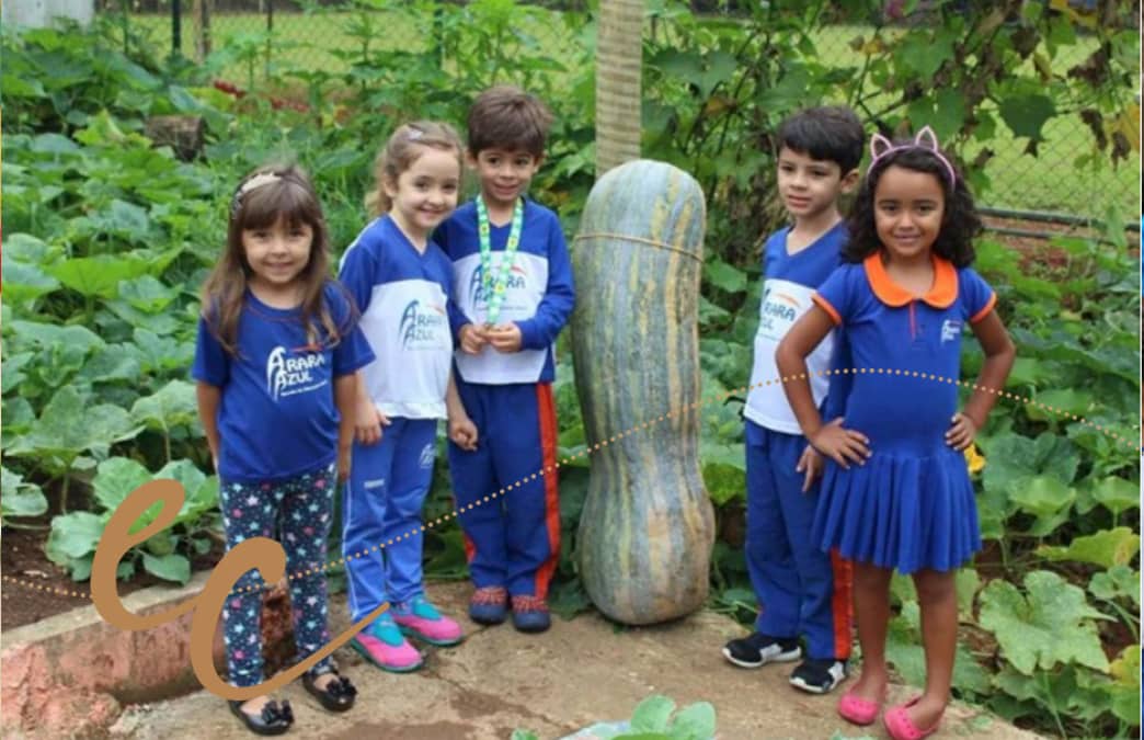 Alunos colhem abóbora de 50 quilos e um metro de comprimento em escola