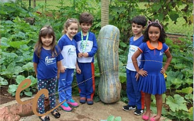 Alunos colhem abóbora de 50 quilos e um metro de comprimento em escola